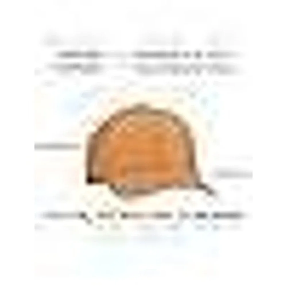 Chaseshine Performance Snapback Hat Orange Perforated‎ Golf Running Baseball Cap
